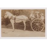 Social History postcard. A fine RP postcard with a full side on photo of three lady family members