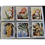 Carreras Orchids medium cards 1925 24/24. VG/EX