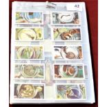 Typhoo Tea Trade Cards (9) full sets including Common Objects highly magnified, William Shakespeare,