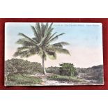Bahamas 1907 Postcard of Inagua sent to England with Edward VII 1d and Inagua circular date stamp