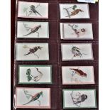 W.D. & H.O. Wills Ruby Queen Birds of the East 1912 series, (11) cards. Good to very good condition.