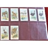 W.D. & H.O. Wills Animals and Birds 1900 series, (7) cards. VG, scarce