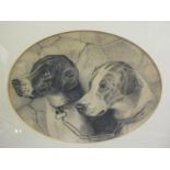 FOXHOUNDS, Edwardian pencil drawing "Heads of Two Fox Hounds" in oval mount, 6.5"x 8"