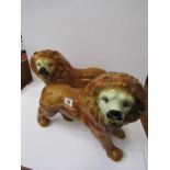 STAFFORSHIRE POTTERY, pair of gilded standing lions, glass bead eyes, 11" height