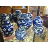 ORIENTAL CERAMICS, 5 various lidded ginger jars, Hawthorn Blossom design, each with double ringed