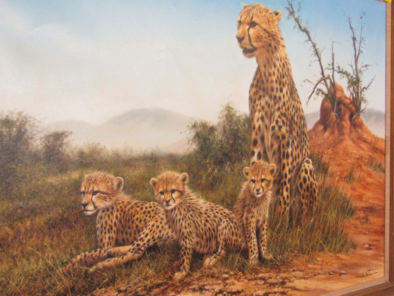 IAN NATHAN, signed painting on canvas "Family group of Cheetahs", 60cm x 90cm - Image 2 of 4