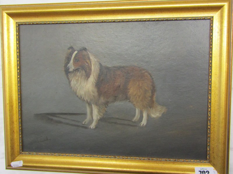 T. EARL, signed oil on board "Portrait of a Shetland Sheep Dog", 24cm x 34cm