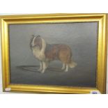 T. EARL, signed oil on board "Portrait of a Shetland Sheep Dog", 24cm x 34cm