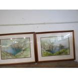 ETHEL SOPHIA CHEESEWRIGHT, pair of signed watercolours "Coastal Views of the Isle of Sark, Channel