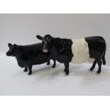 BESWICK CATTLE, Aberdeen Angus cow & Belted Galloway cow