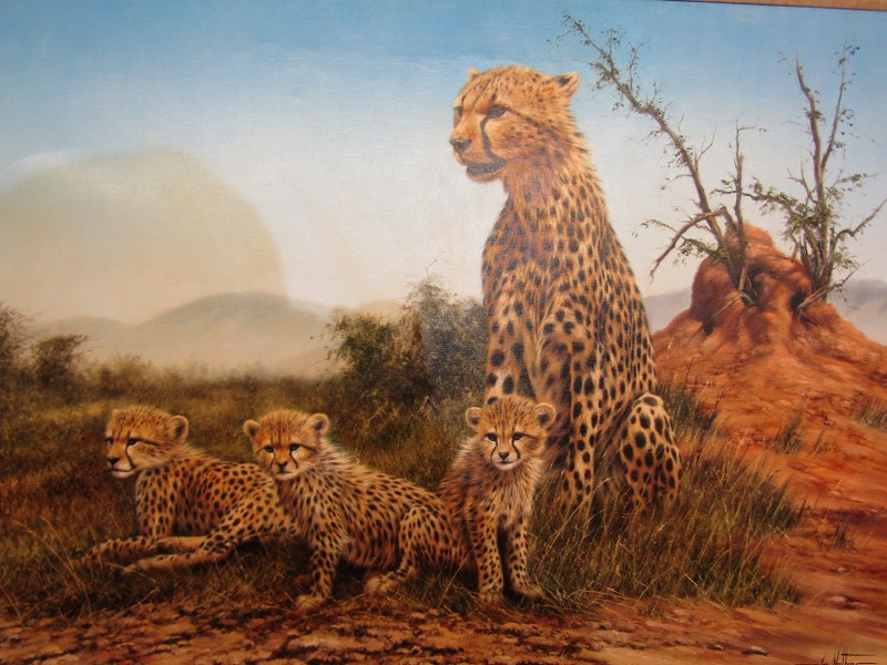 IAN NATHAN, signed painting on canvas "Family group of Cheetahs", 60cm x 90cm - Image 3 of 4