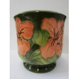 MOORCROFT, green ground "Hibiscus" pattern jardinière, 18cm height