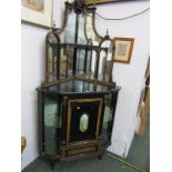 LATE VICTORIAN ORNATE MIRRORED BACK CORNER CABINET, inset painted porcelain panelled door and fluted