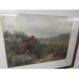 C. S. TODD, signed watercolour dated 1962 "Game Birds in Highland Setting", 27cm x 37cm