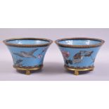 A PAIR OF JAPANESE CLOISONNE BLUE GROUND JARDINIERES, each exterior beautifully decorated with birds