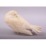 A SUPERB JAPANESE CARVED IVORY MODEL OF A PIGEON, with finely carved feathers and bead inset