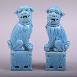A SMALL PAIR OF CHINESE BLUE GLAZED PORCELAIN KYLIN, 11.5cm high.