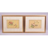 A GOOD PAIR OF JAPANESE PAINTINGS ON SILK, each depicting a bird on a branch, framed and glazed with