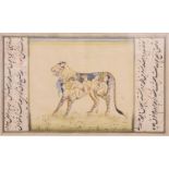 AN UNUSUAL INDIAN MINIATURE EROTIC PAINTING, the naked figures formed to resemble a tiger, framed