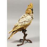 A VIENNA PAINTED BRONZE PARROT on a branch, 12ins high.