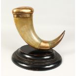 A VERY GOOD LARGE HORN TABLE SNUFF MULL, the curving form 18ins long with brass top and brass plaque