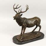 A GOOD LARGE BRONZE STAG, 15ins high, on a marble base.