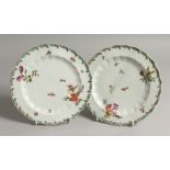 A PAIR OF 18TH CENTURY CHELSEA FEATHERED PLATES painted with flowers, brick and red anchor mark.