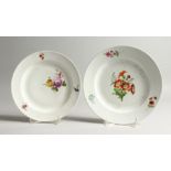 TWO 19TH CENTURY MEISSEN CIRCULAR PLATES painted with flowers Cross swords mark in blue, 9ins & 8ins