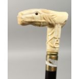 A CARVED BONE HANDLED WALKING STICK, horse's head and bridle. 37ins long