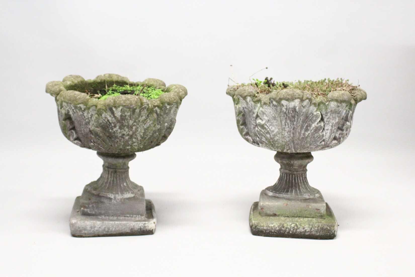 A PAIR OF WEATHERED COMPOSITE GARDEN URNS on pedestal bases. 21ins high x 19 ins diameter. - Image 2 of 6