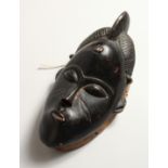 A CARVED WOOD TRIBAL MASK. 12ins long.