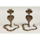 A PAIR OF INDIAN BRASS COBRA CANDLESTICKS. 8ins high.