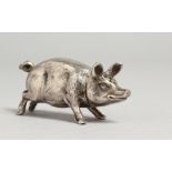 A PIG PEPPER POT BY I S with London Import marks, 1904. 2.5ins long.
