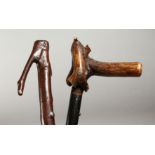 TWO RUSTIC BRIER WALKING STICKS, 38ins and 35ins long.