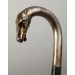 A GOOD 19TH CENTURY WALKING STICK with a silver .925 horse's head handle. 36ins long.