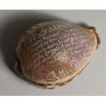 A SHELL CARVED WITH THE LORD'S PRAYER. 3ins.
