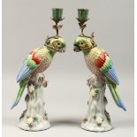 A GOOD PAIR OF PORCELAIN PARROT CANDLESTICKS, 14ins high