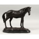 A BRONZE STANDING HORSE on a marble base.