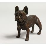 A BRONZE BULLDOG