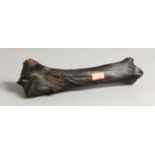 AN ICE AGE HORSE'S BONE. 13ins long.