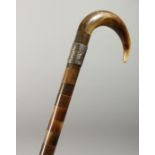 A SEGMENTED HORN WALKING STICK with engraved silver band, 'From Tom. 1.1.21.'.