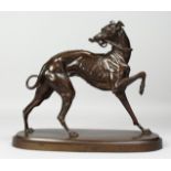 A SUPERB BRONZE GREYHOUND carrying a riding crop in it's mouth, 12ins high, 14ins long.