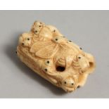 A CARVED BONE INSECT NETSUKE.