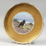 A MINTON PLATE, rich gilt border, the centre painted with a sea bird by MAC 8.5ins diameter.