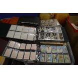 A large quantity of cigarette cards, mostly in albums.