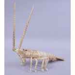 A JAPANESE CARVED IVORY OR BONE RETICULATED MODEL OF A CRAYFISH, 42cm overall.
