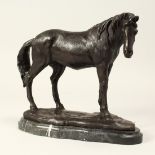 A BRONZE STANDING HORSE on a square marble base. 10ins long