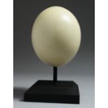 AN OSTRICH EGG on a stand 5.5ins