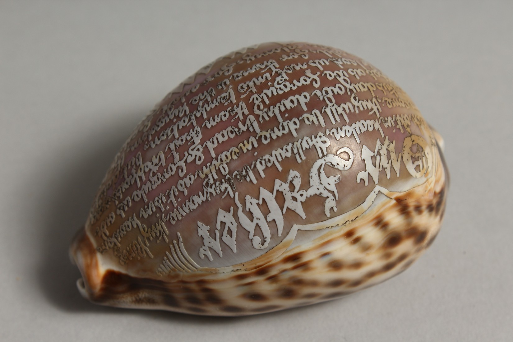 A SHELL CARVED WITH THE LORD'S PRAYER. 3ins. - Bild 5 aus 7
