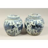 A PAIR OF CHINESE BLUE AND WHITE GINGER JARS AND COVERS. 10ins high.